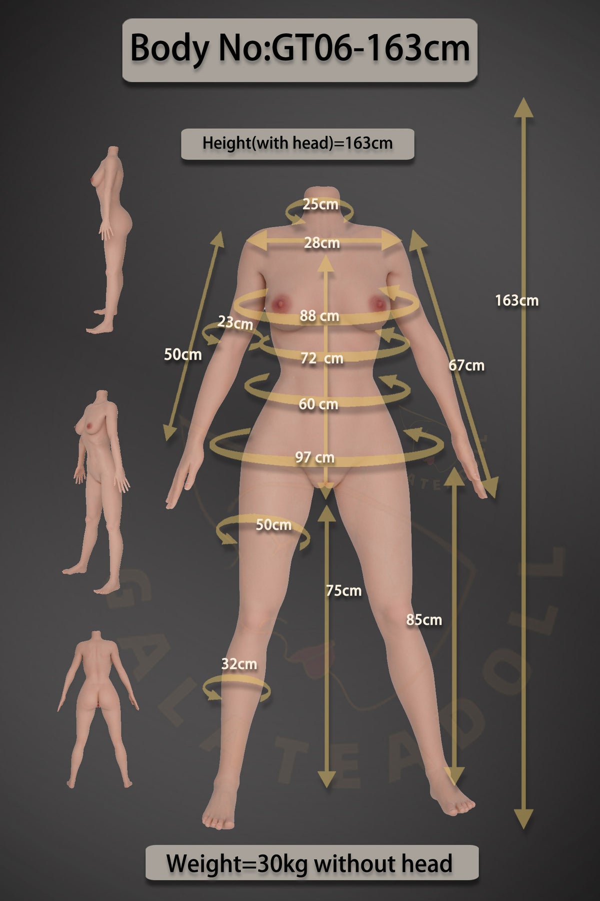 Samira muñeca sexual (Galatea Doll 163 cm D-Cup #198 Silicona)