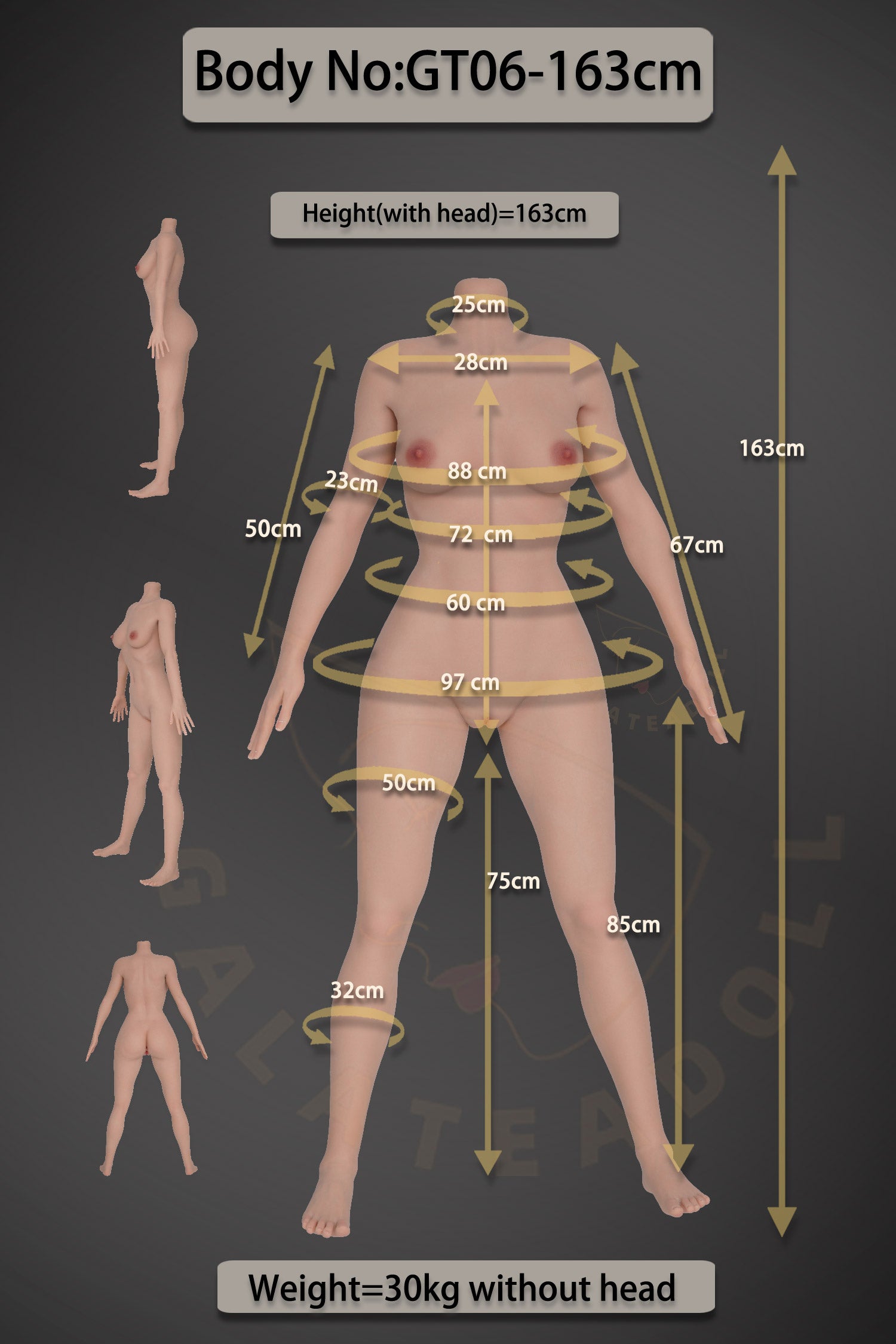 Samira muñeca sexual (Galatea Doll 163 cm D-Cup #198 Silicona)