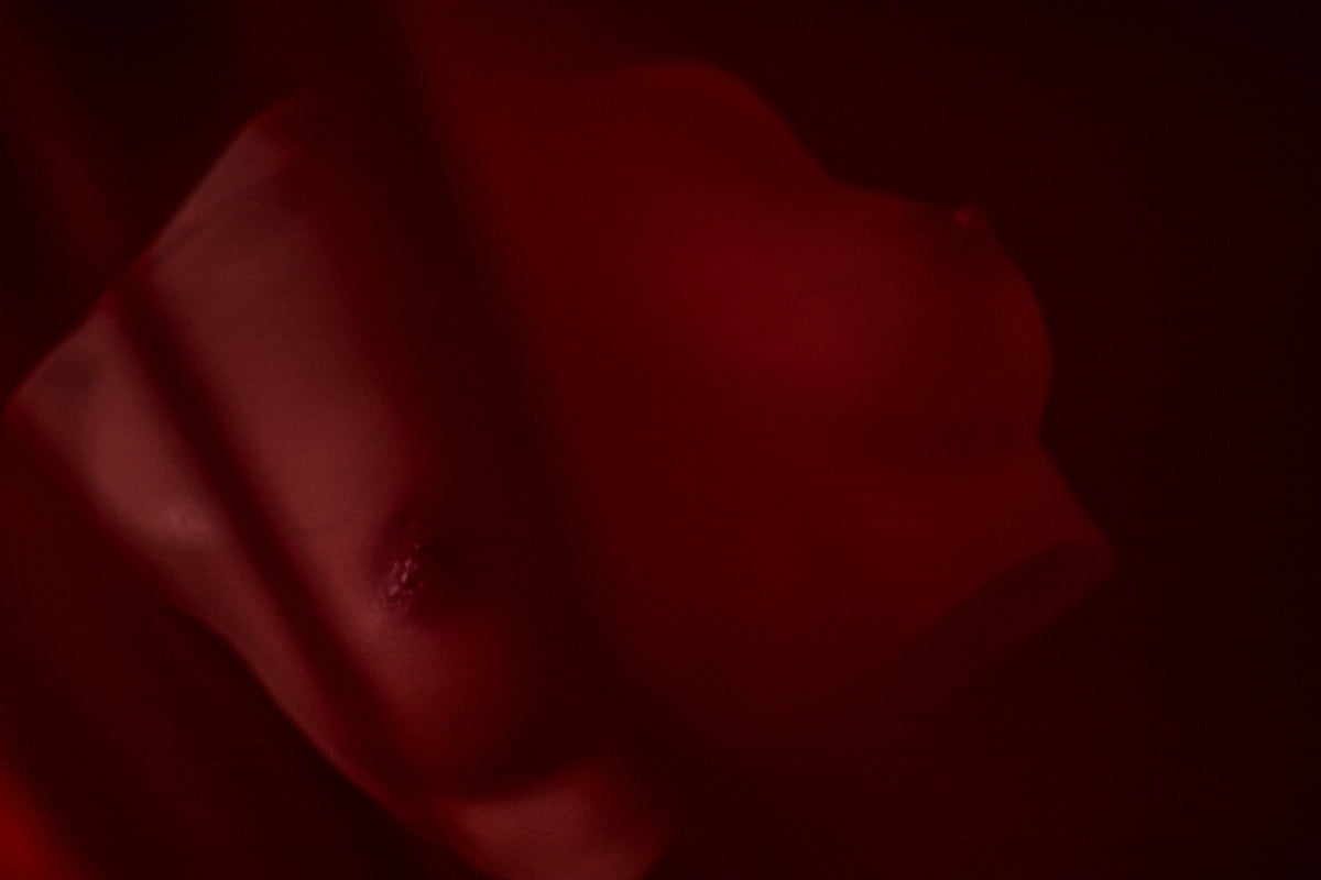 Pecho (S) Torso muñeca sexual (Climax Doll Copa Pro B Silicona)