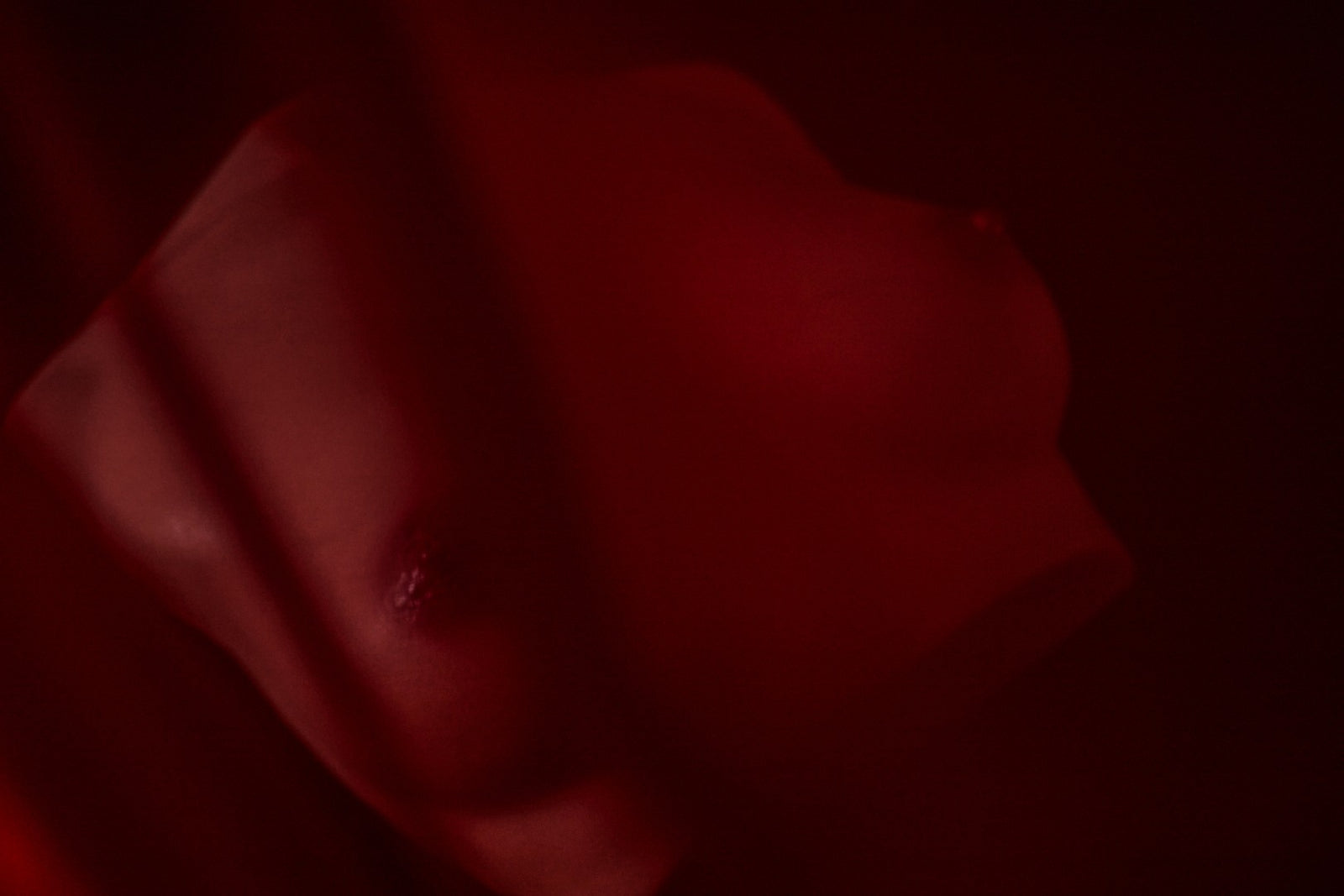 Pecho (S) Torso muñeca sexual (Climax Doll Copa Pro B Silicona)