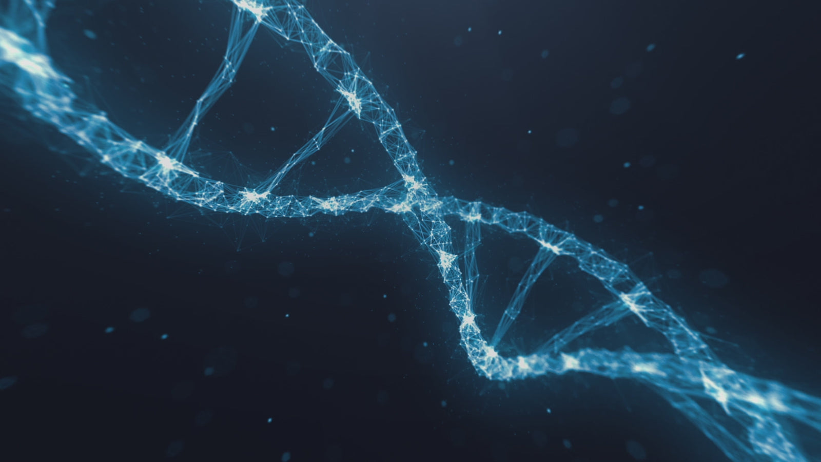 Boneca sexual YOYO (XT Doll Copo D de 150cm #XT-byx4-A Silicone)