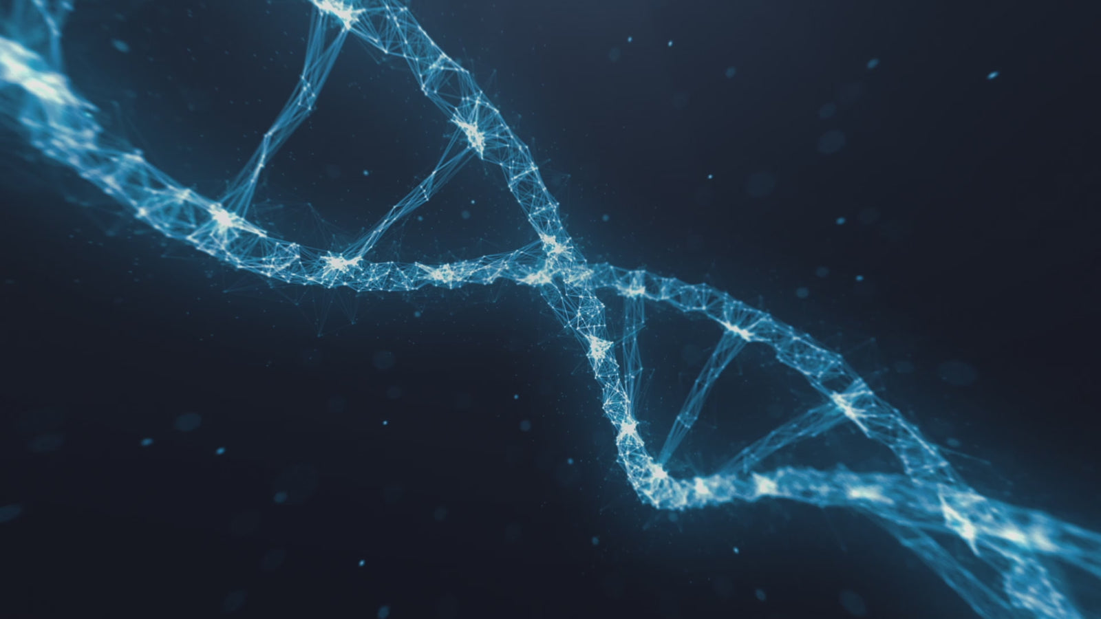 Lydia Sex doll (XT Doll 150cm D-cup #XT-bym13 silicone)