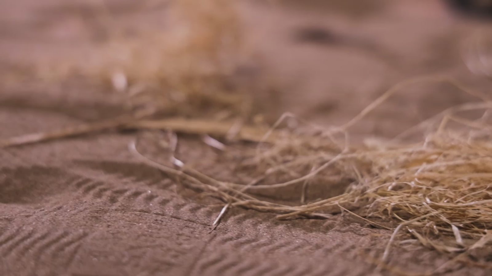 la isla muñeca sexual (Dolls Castle 156 cm Copa E #A1 TPE)