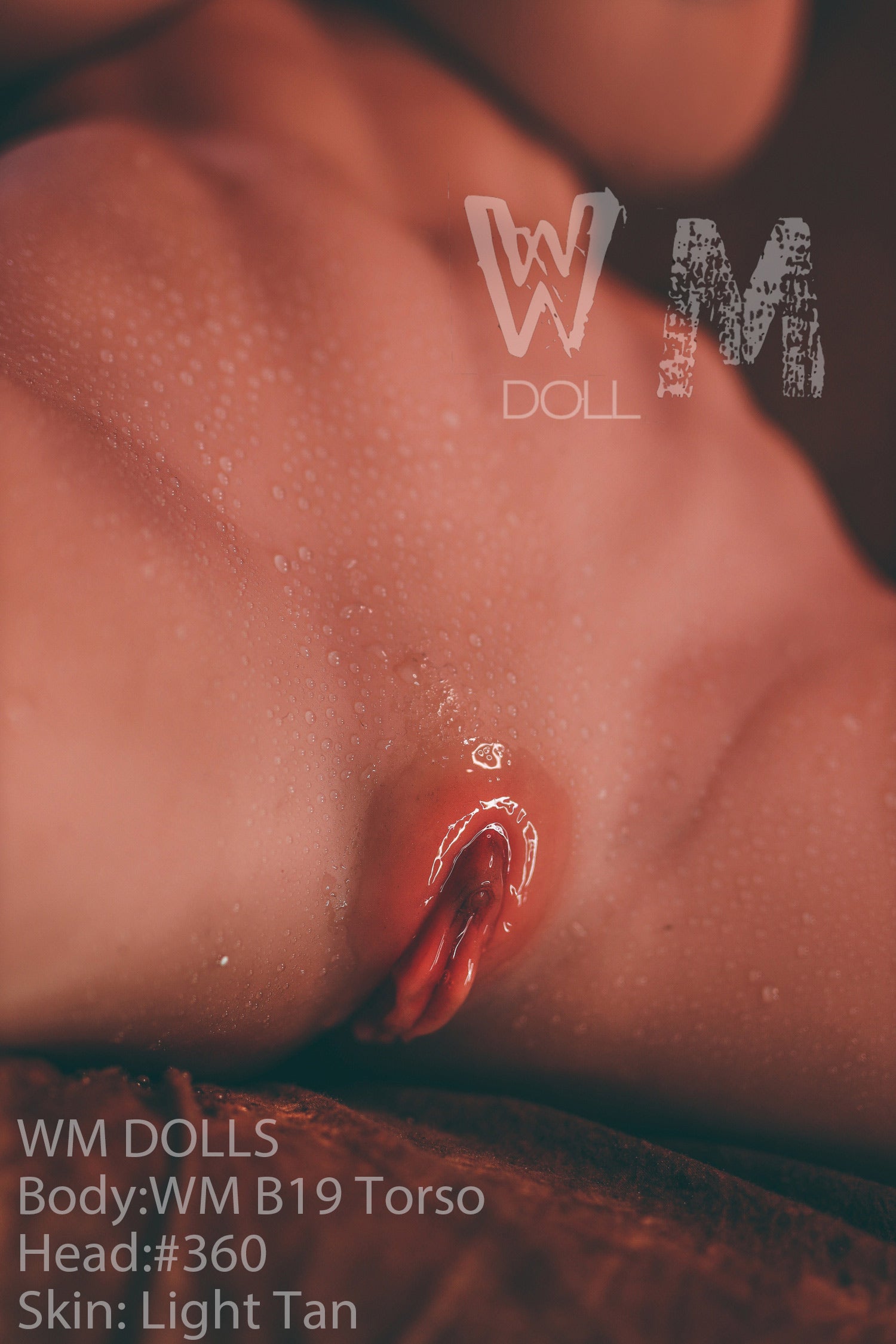 brandy muñeca sexual (WM-Doll Torso B19 89cm J-CUP #360 TPE)