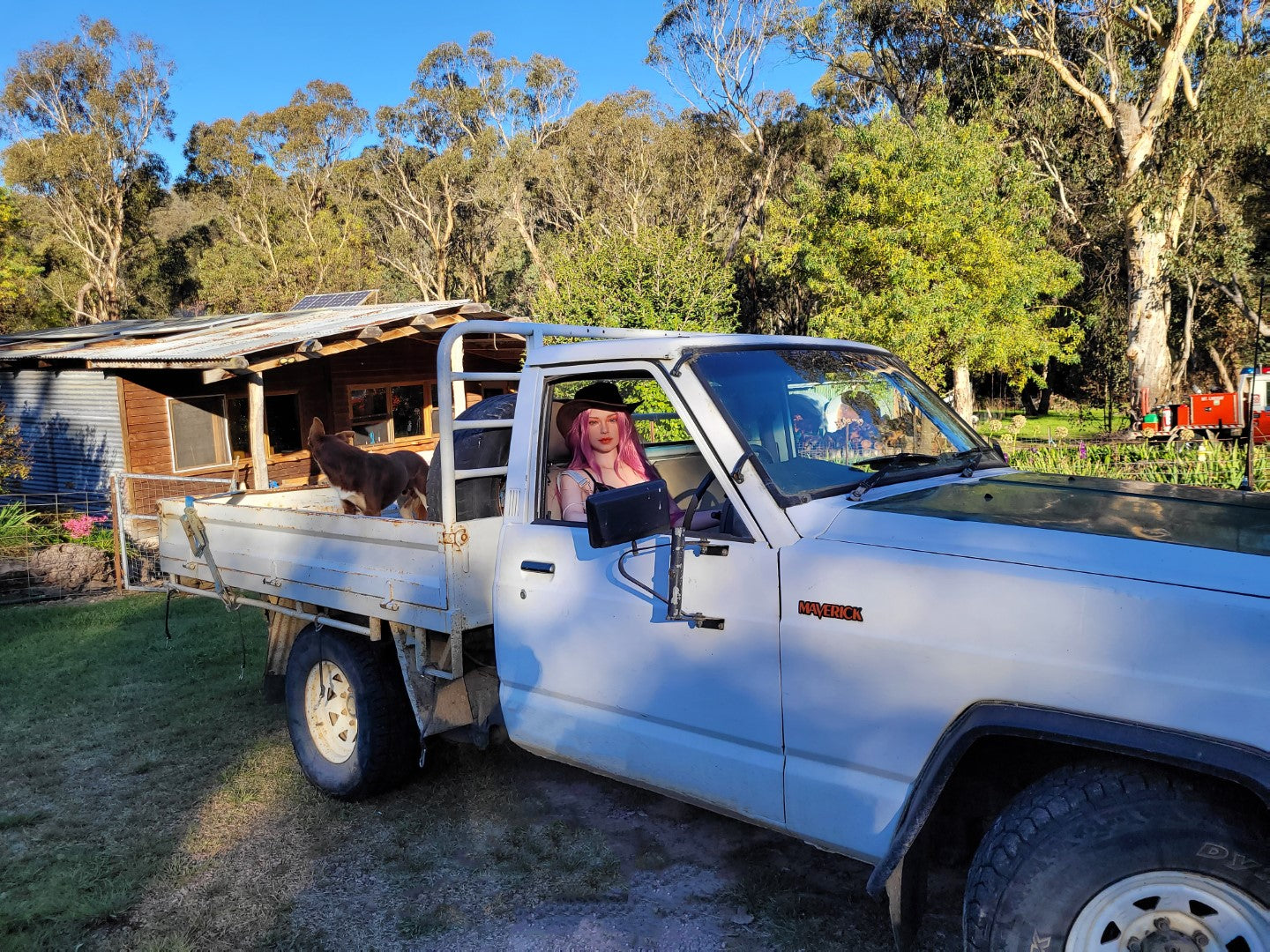 Reina muñeca sexual (Starpery 171 cm copa A TPE+silicona)