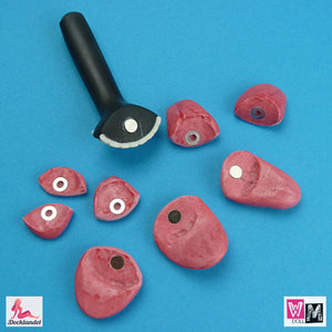 Conjuntos de dentes e língua (WM-Doll)